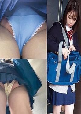 SPAY-556 猫酱
