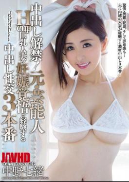 马赛克 MEYD-525 中出！前艺人 Hcup 丰满已婚妇女经历过怀孕中出性交 3 次制作 仲野七奈