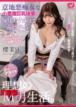 MGMQ-149 每天被淫荡的、放荡的、恶魔般的、丰满的小辈玩弄肛门的理想M男生活。樱麻耶