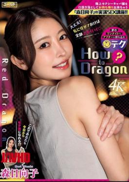 马赛克 GDRD-043 红龙森田日向 (GDRD-043)