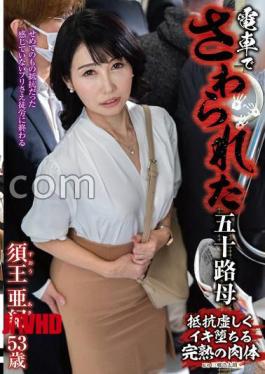 [ IRO-060-mosaic ] “Naughty Encounter on the Train with a Mature Woman”