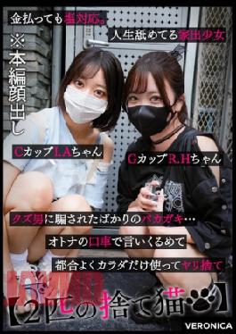 [
                        VRNC-073-mosaic                    ] Mosaic VRNC-073 Slim Breast Princess