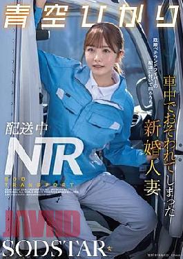 [
                        START-492-mosaic                    ] Mosaic Reducing Mosaic START-492 Delivery NTR: A newlywed housewife, Hikari Akazora, is assaulted in the car while following a married veteran delivery driver on his route.